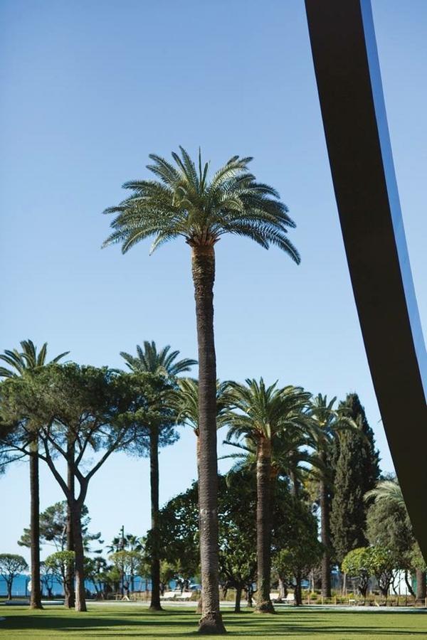Le Prefecture - Luxueux F3 En Duplex, Ascenseur, Coeur Vieux-Nice Apartment Exterior photo